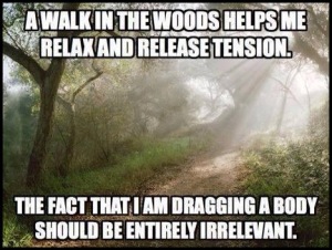 walks-in-the-forest