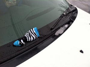 windshield-wiper-sock
